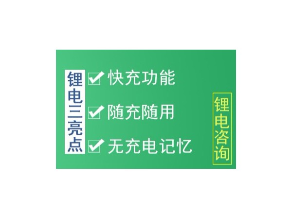 鋰電池組